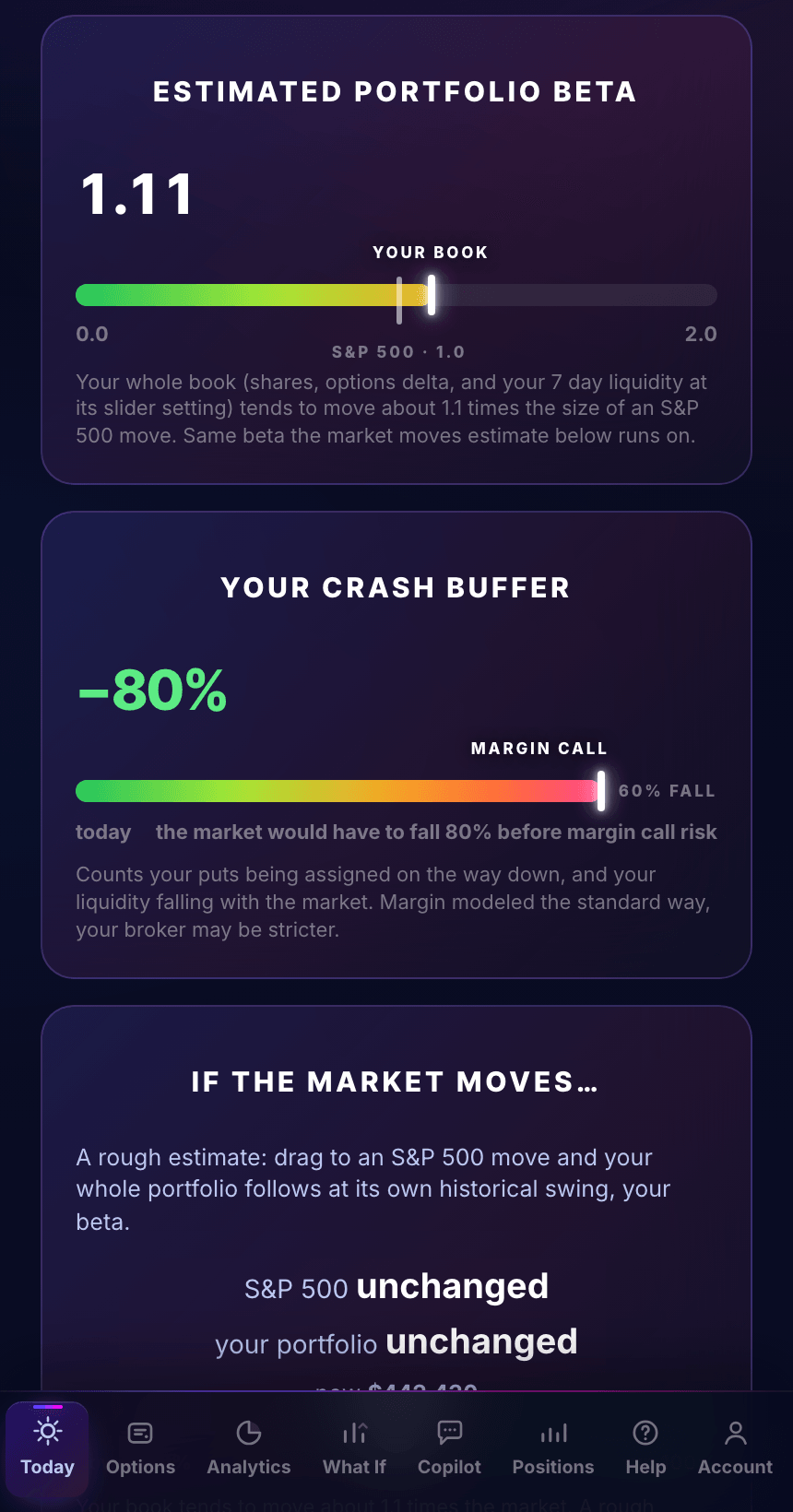 Estimated portfolio beta thermometer and crash buffer